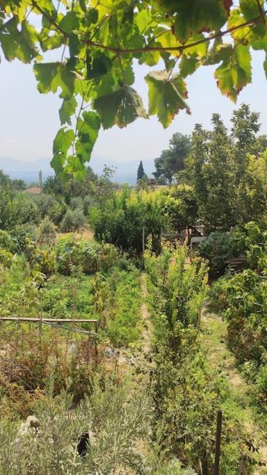 Engin Home Pamukkale Exteriör bild